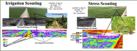 Irrigation & Stress Scouting